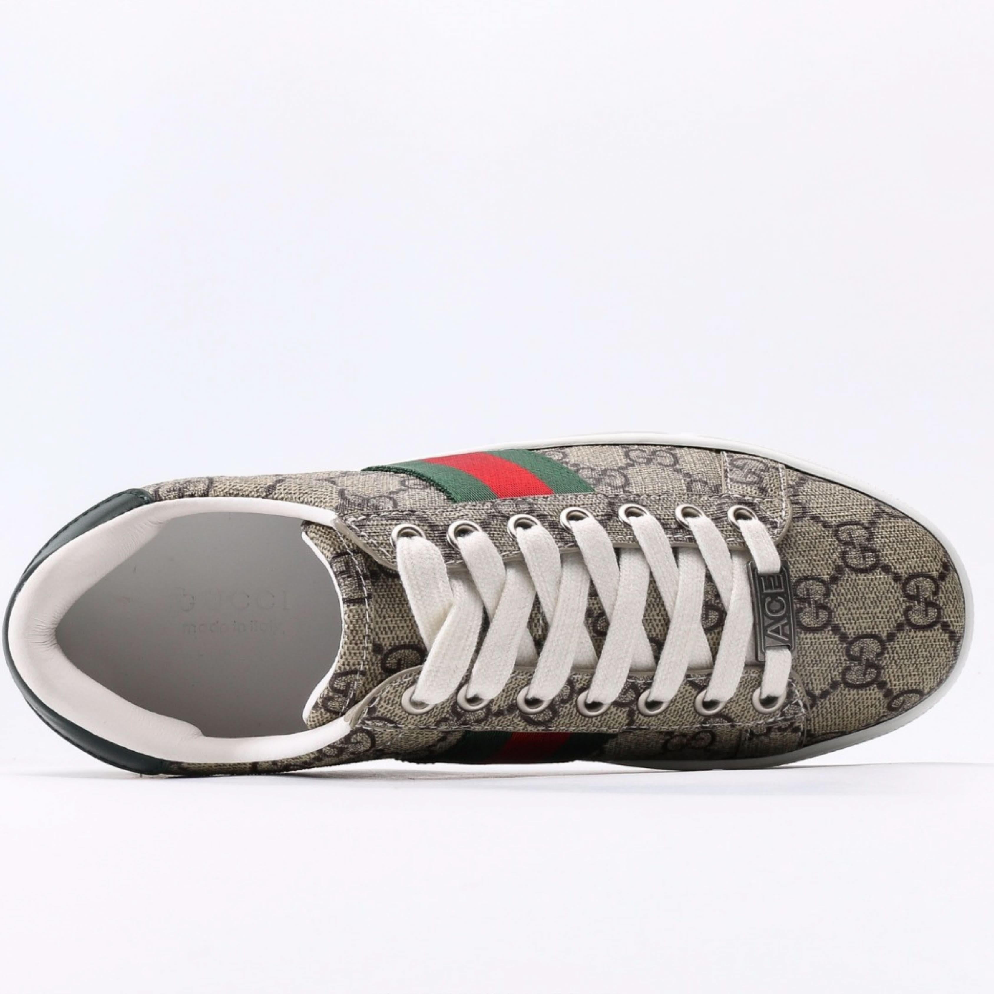 Gucci Sneaker